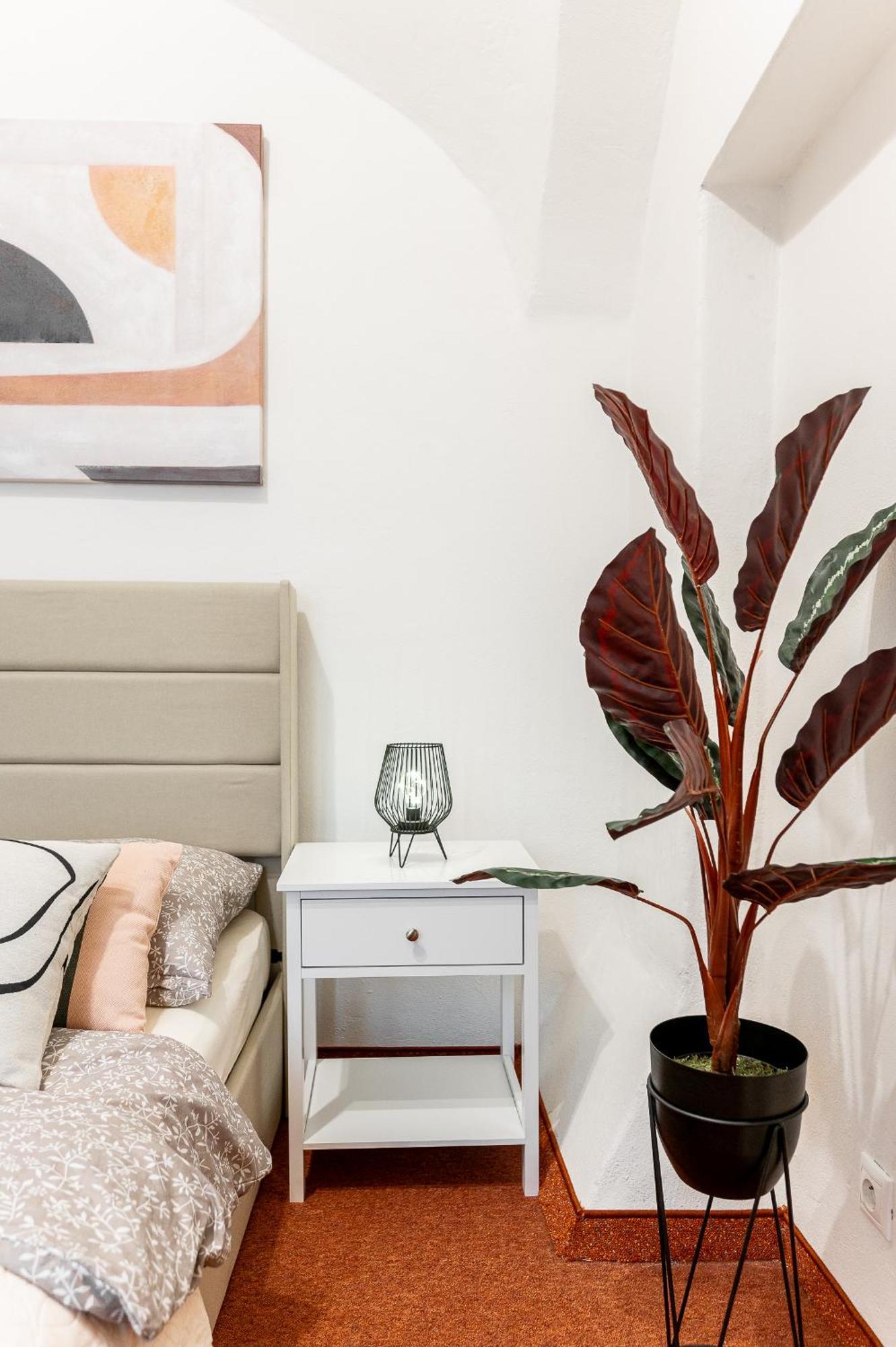 K1 Piatok Sobota Disco Cez Tyzden Tichy Apartman Košice Buitenkant foto